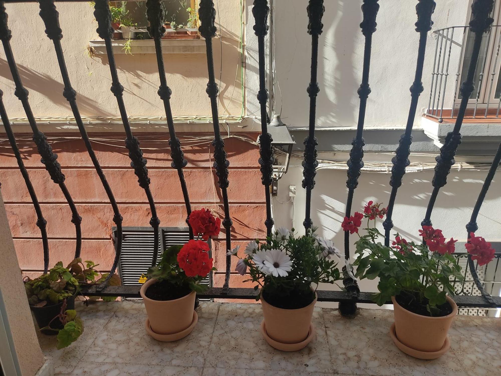 Apartamento Estreno Centro Y Playa Cádiz Exterior foto